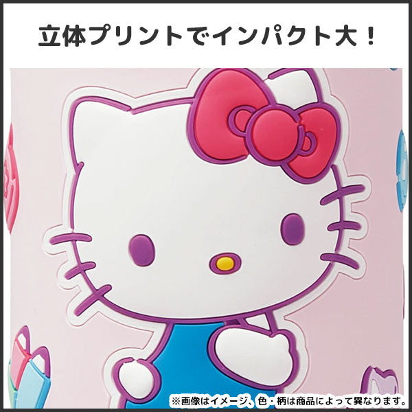 日本直送- Skater Sanrio 3D圖案 不鏽鋼保冷水樽